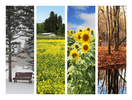 Skincare for Every Season: Adapting Your Routine Year-Round