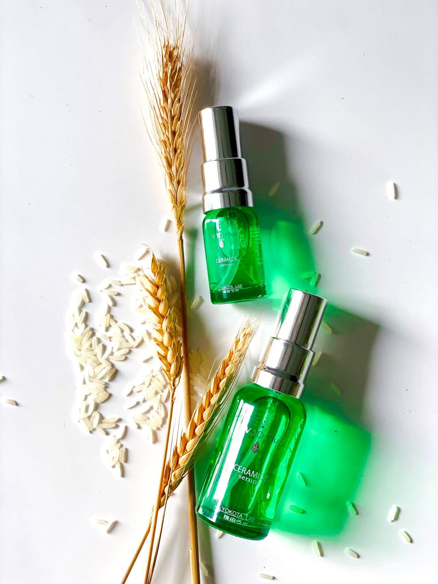 Ceramide Serum
