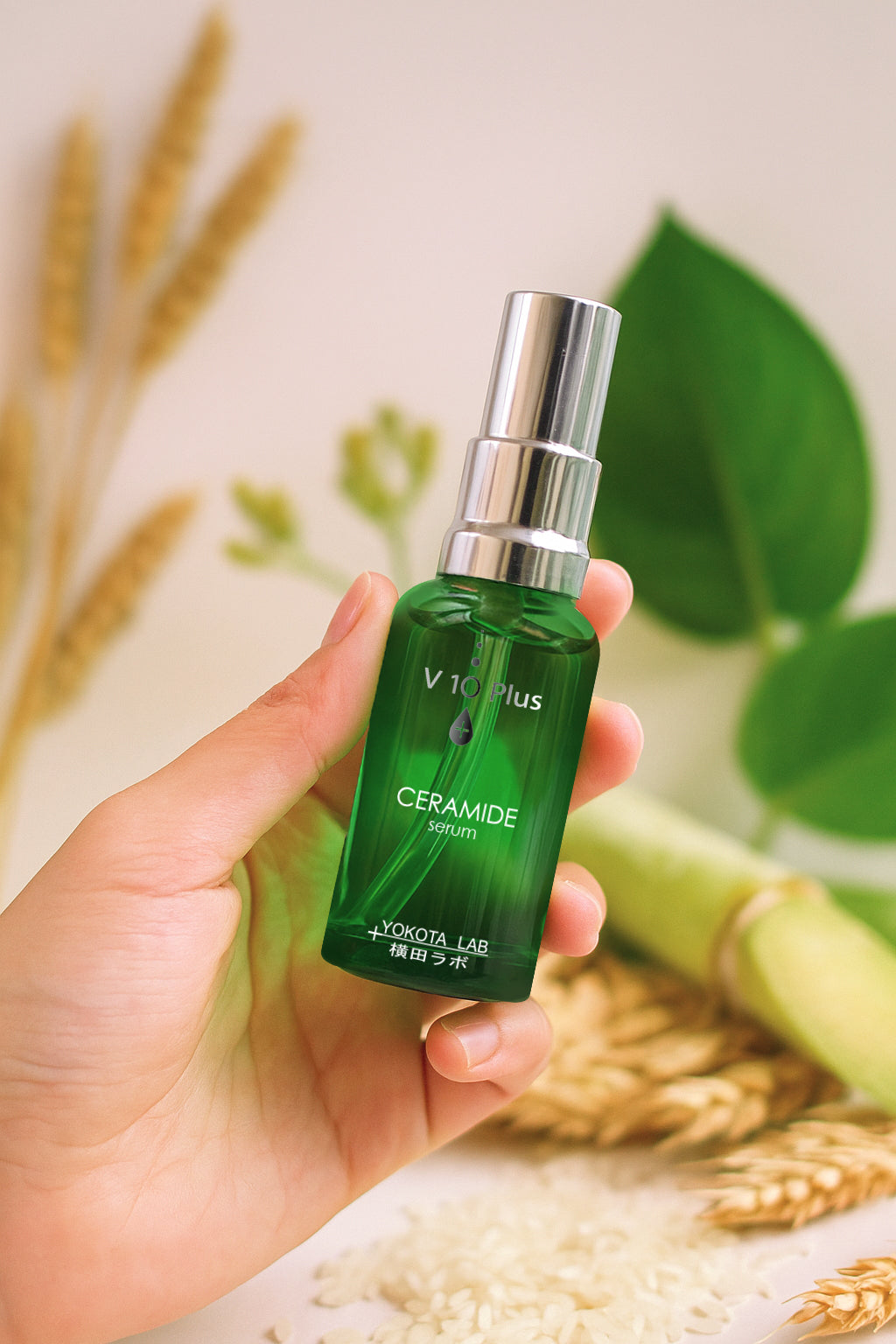 Ceramide Serum