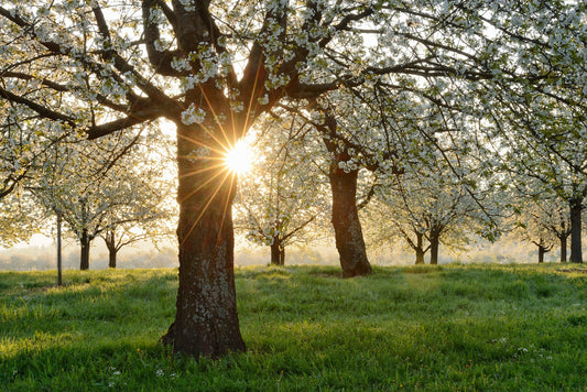 Preparing Your Skin for Spring: March Skincare Transition Tips