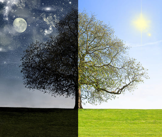 Morning vs. Night Skincare: When Does Your Skin Need Hydration Most?