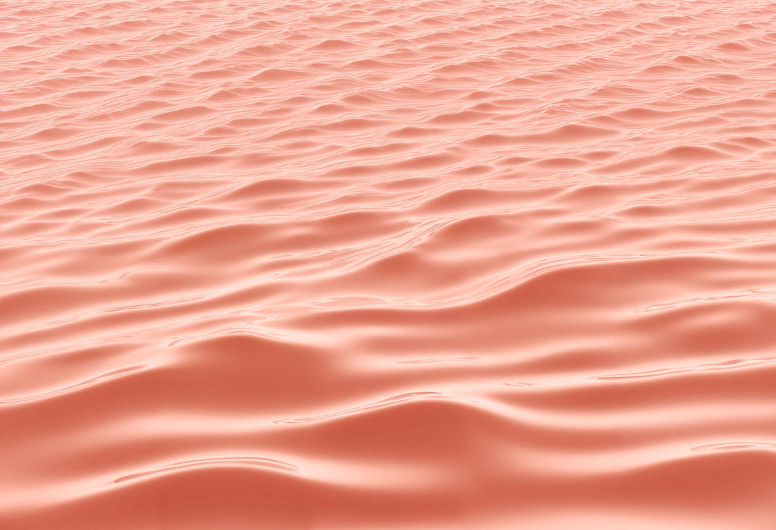 Skin Barrier 101: What It Is and How to Keep It Healthy