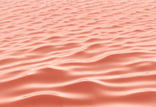 Skin Barrier 101: What It Is and How to Keep It Healthy
