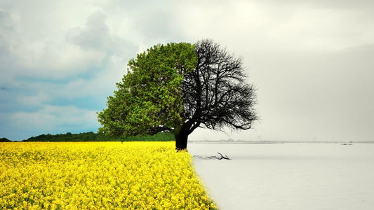 Summer to Winter Skincare: How to Adjust Your Routine for Seasonal Changes