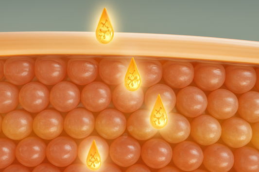 The Hidden Role of Lamellar Structures in Next-Gen Skincare