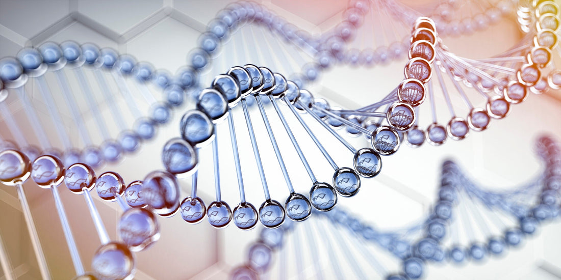 Multi Peptide Benefits for Firmer, Healthier-Looking Skin