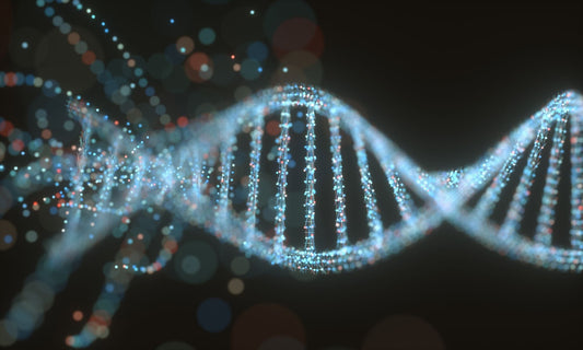 PDRN Explained: Why Sodium DNA Is the Next Generation of Skincare