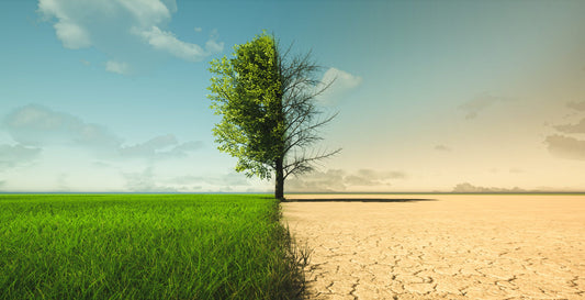 How Climate Change Is Reshaping Skincare Needs