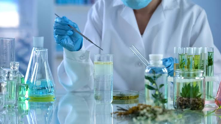 The Future of Summer Skincare: Biotechnology Meets Natural Ingredients