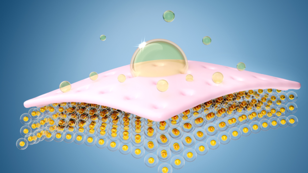 The Science of Lamellar Skin Technology: Why Your Skin Loves It
