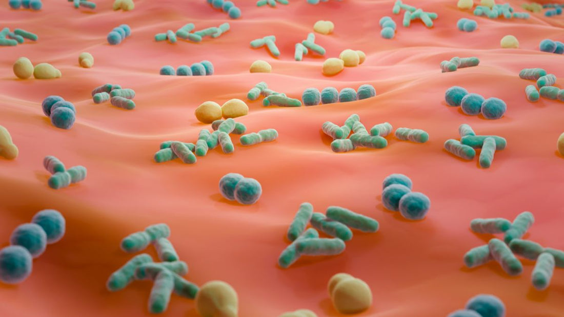 Inside the Skin Microbiome: The Next Frontier in Skincare 🌿🔬